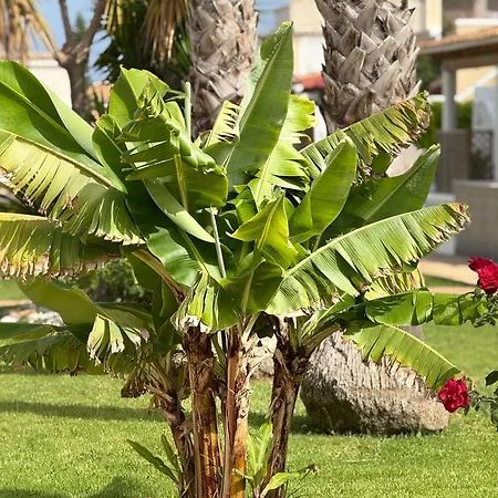 Holiday home Chez Vous Villamartin (Valencia)